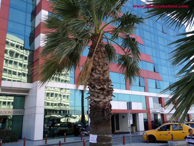 Kordon Otel Alsancak Pasaport İzmir